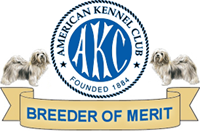 AKC Havanese Breeder of Merit