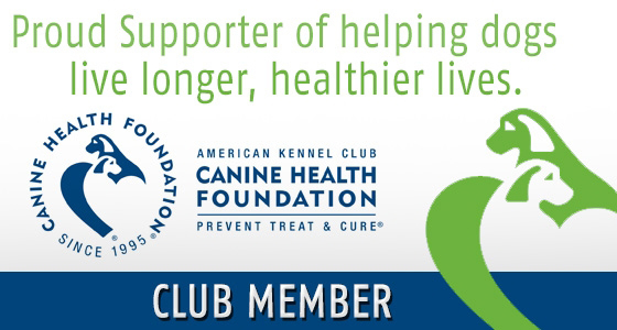 Breeder Havanese Phoenix Arizona