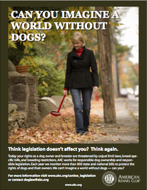 california havanese breeder