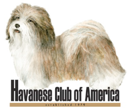 Havanese Club of America Arizona