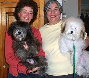 Phoenix Havanese Puppies