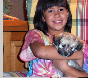 Tempe Havanese Puppies