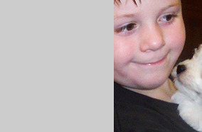 Chandler Havanese Puppies