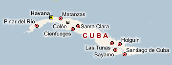 Havanese Puppies Arizona