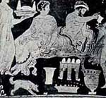 Havanese Puppies Arizona