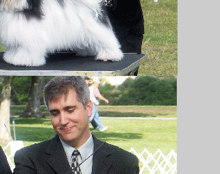 Havanese Apache Junction